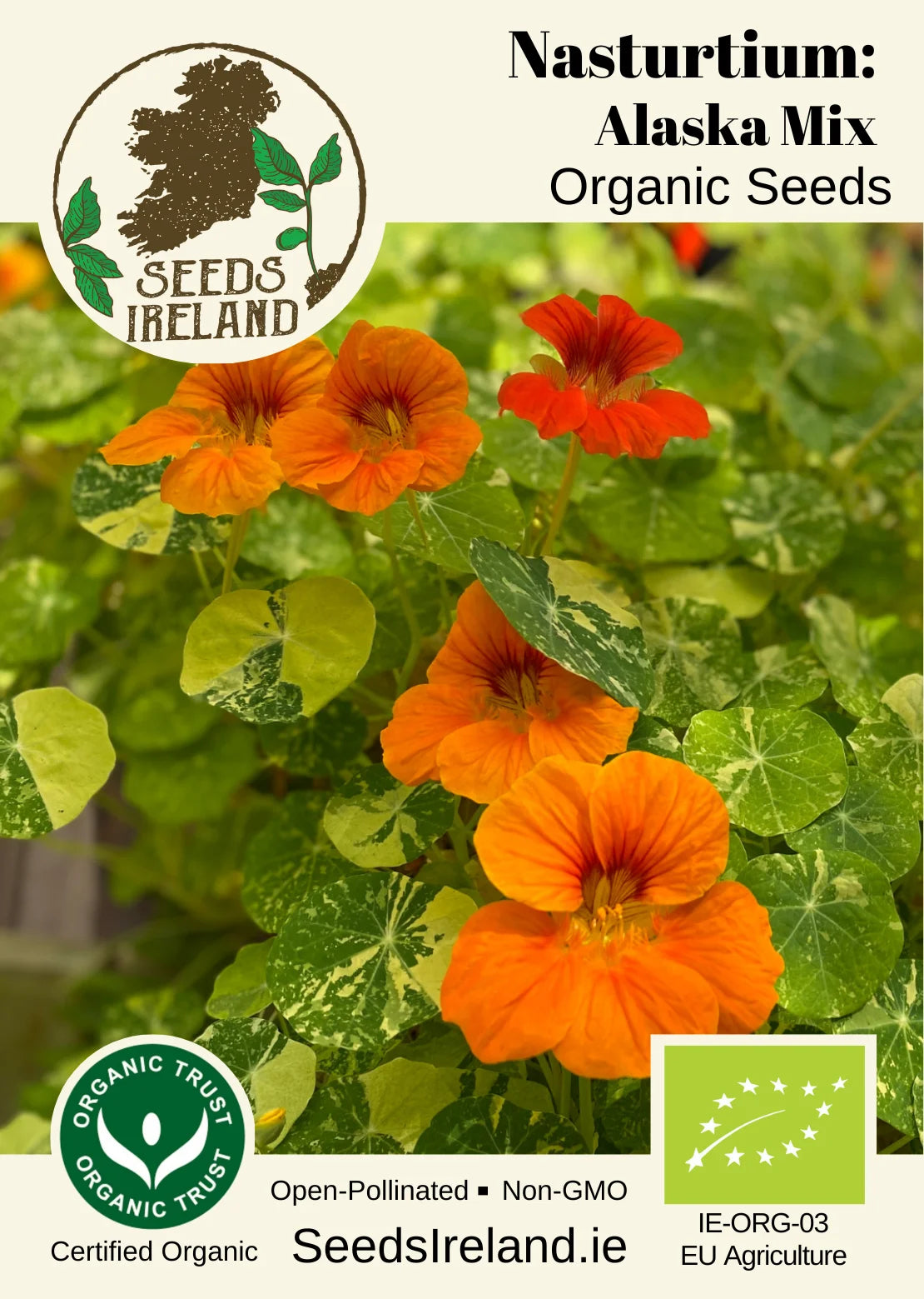 Nasturtium: Alaska Mix Organic Seed