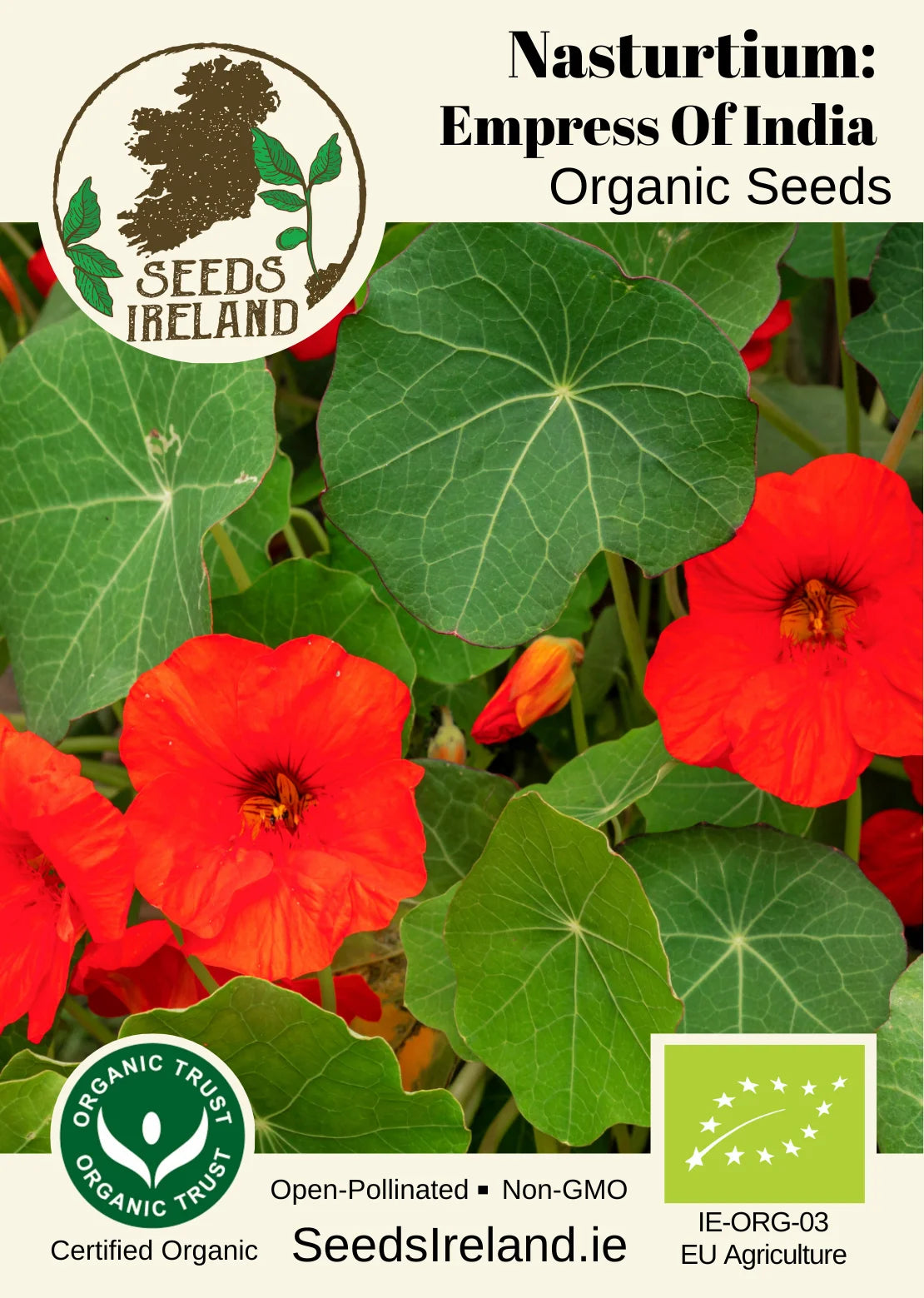 Nasturtium: Empress of India Organic Seed
