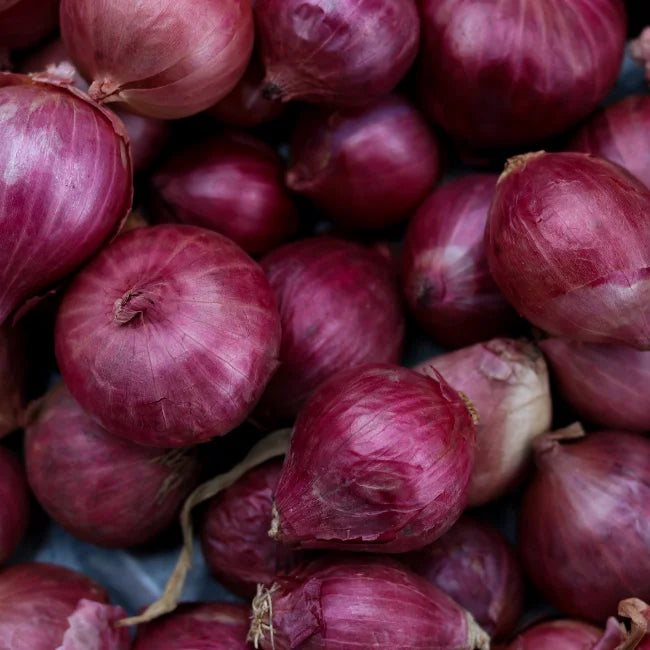 Red Baron Onion Seeds Ireland Organic Vegetable Seed Bulk Packs
