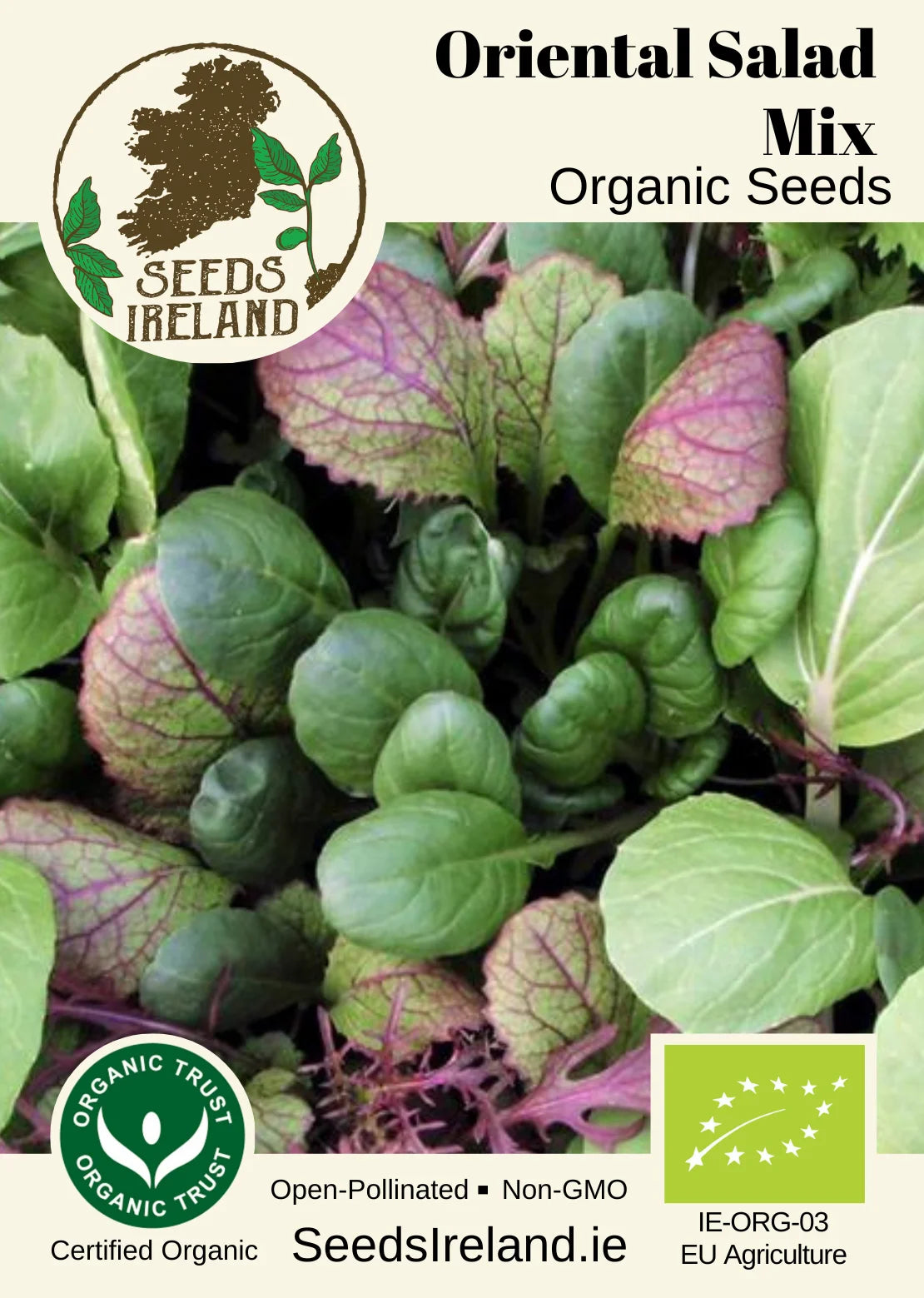 Oriental Salad Mix Organic Seed