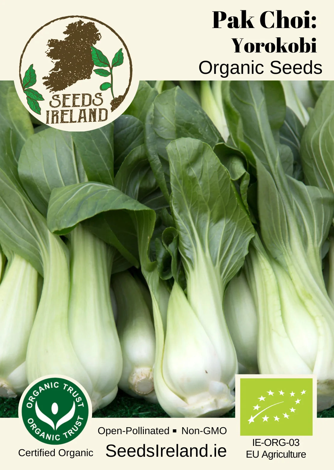 Pak Choi: Yorokobi Organic Seed