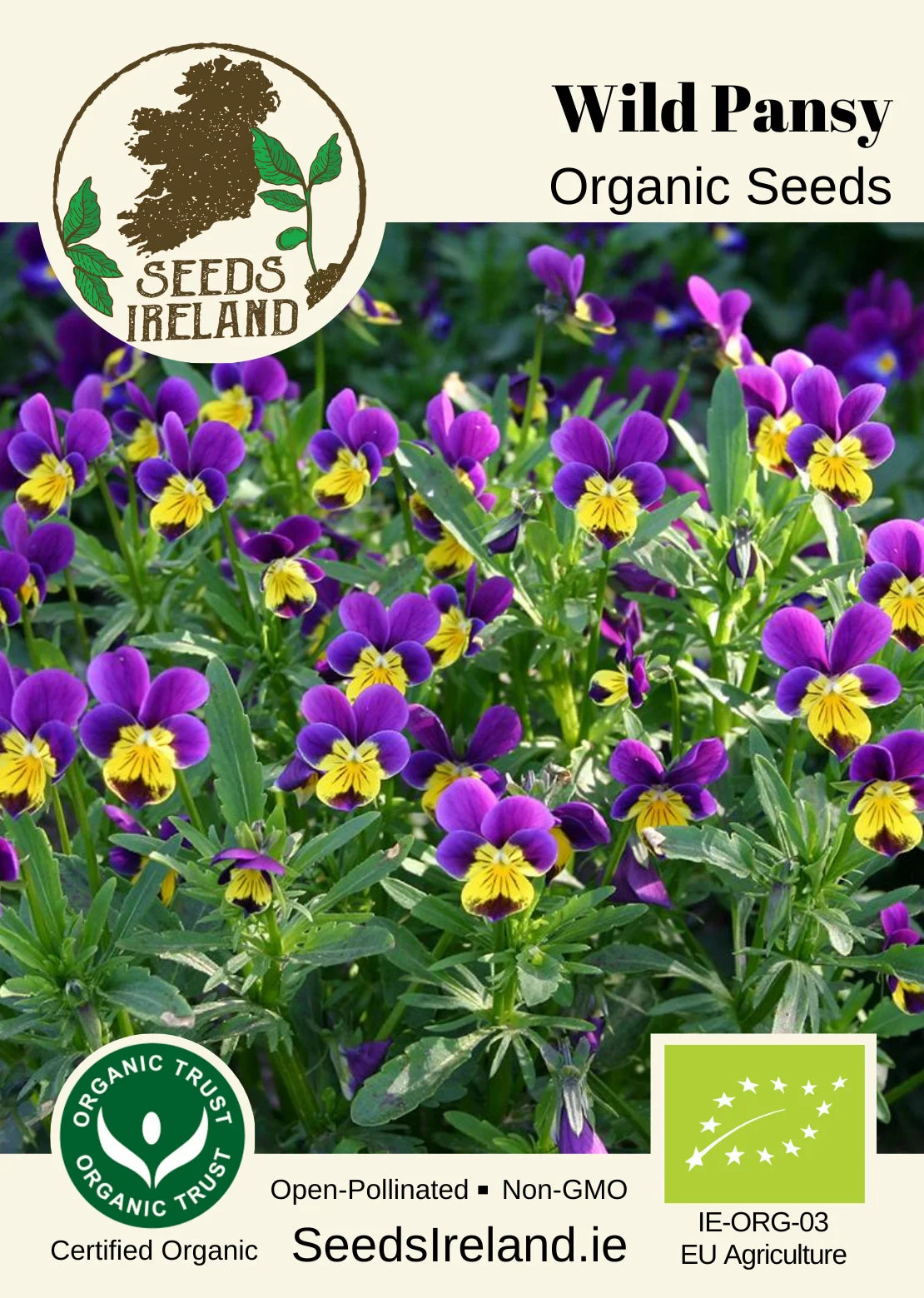 Wild Pansy Organic Seed