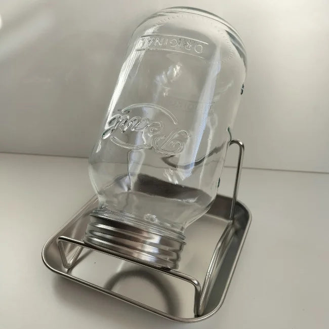 Pearl Jar