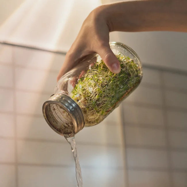 Pearl Jar with Seed Sprout