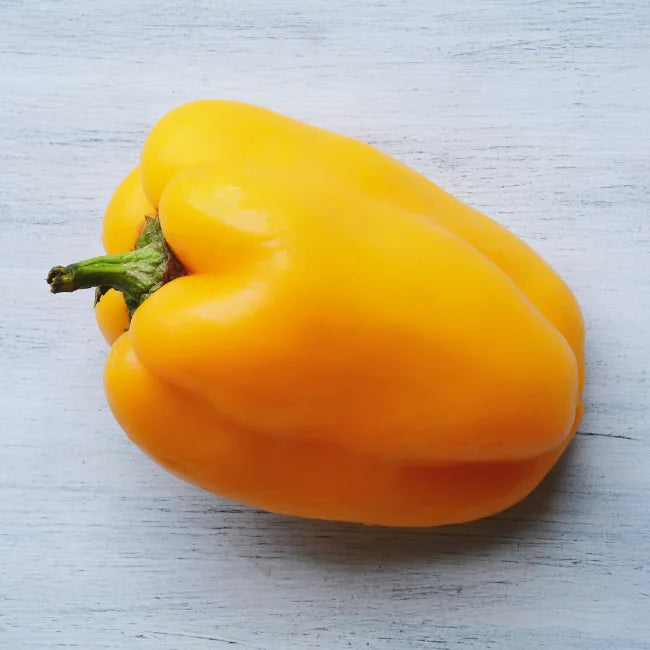 Pepper Quadratod Astigiallo