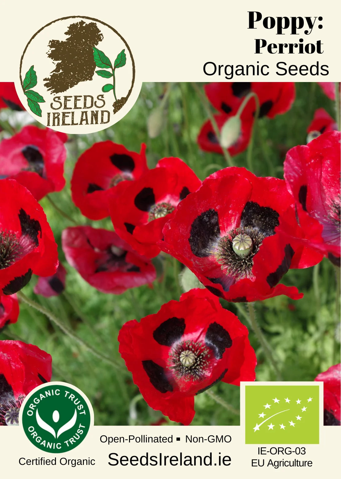 Poppy: Pierrot Organic Seed