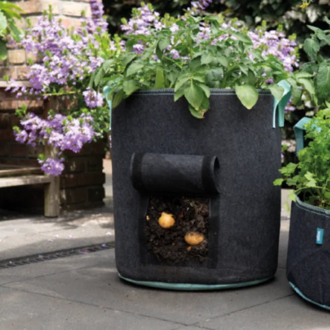 potato grow planter bag Potato Grow Bag | 55 Litre