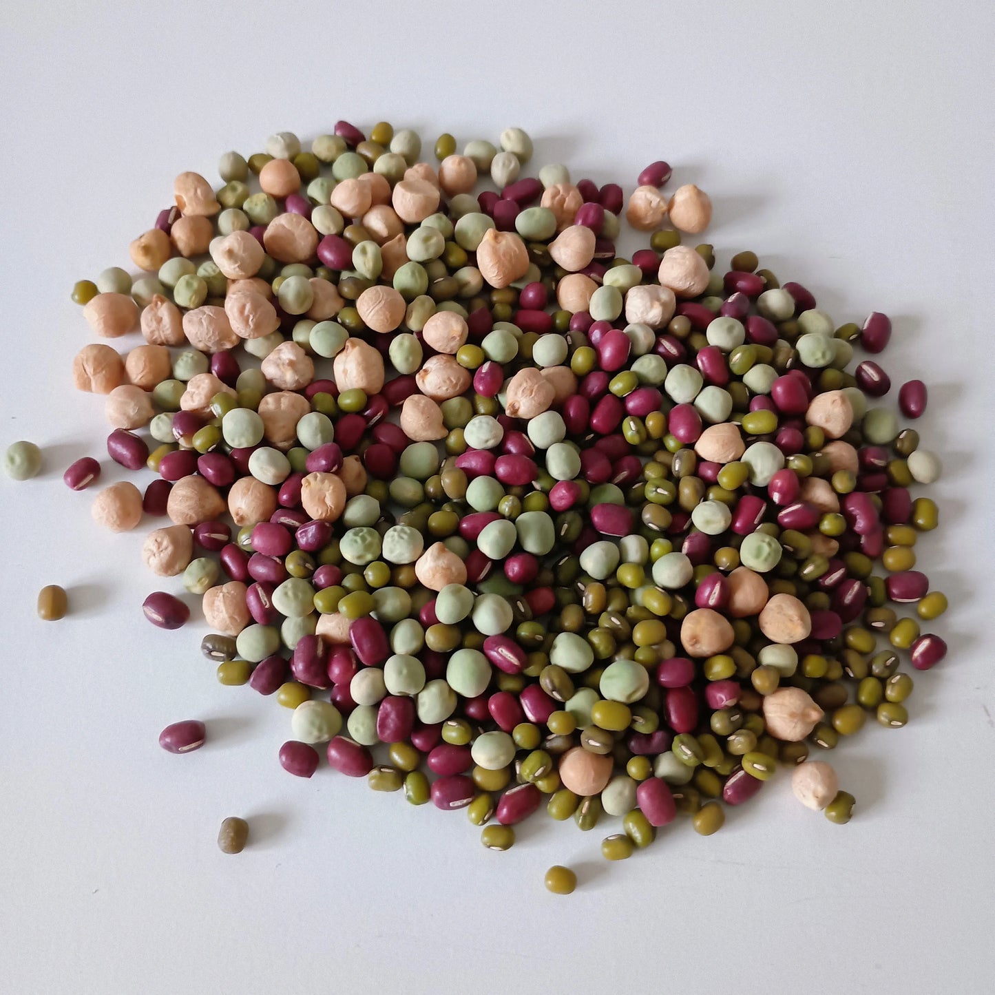 Organic Sprouting Seed: Protein Power Mix