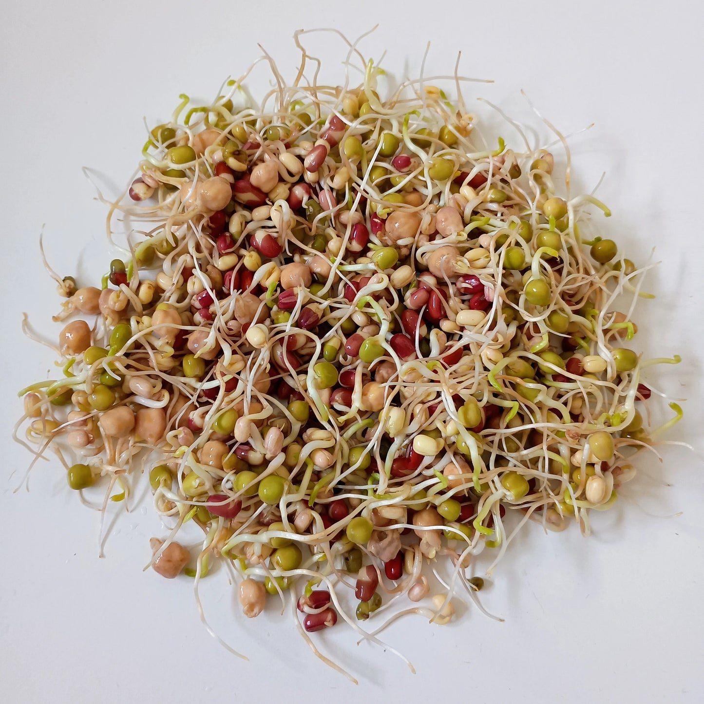 Organic Sprouting Seed: Protein Power Mix