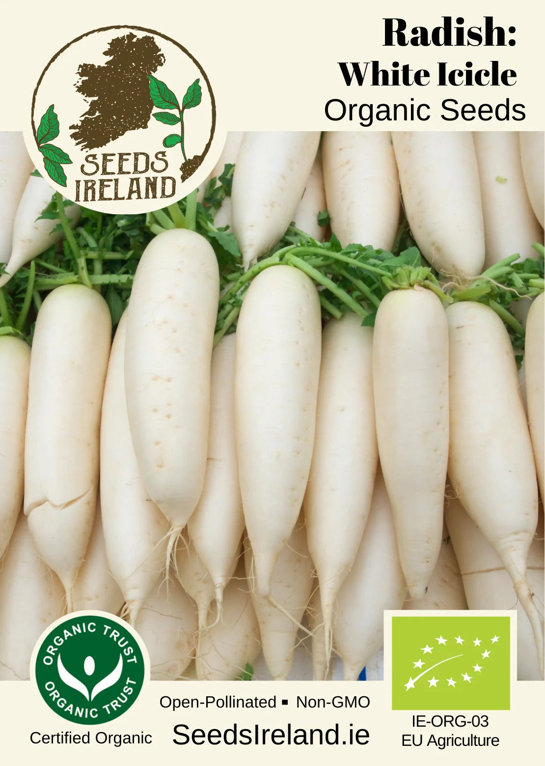 Radish: White Icicle Organic Seed