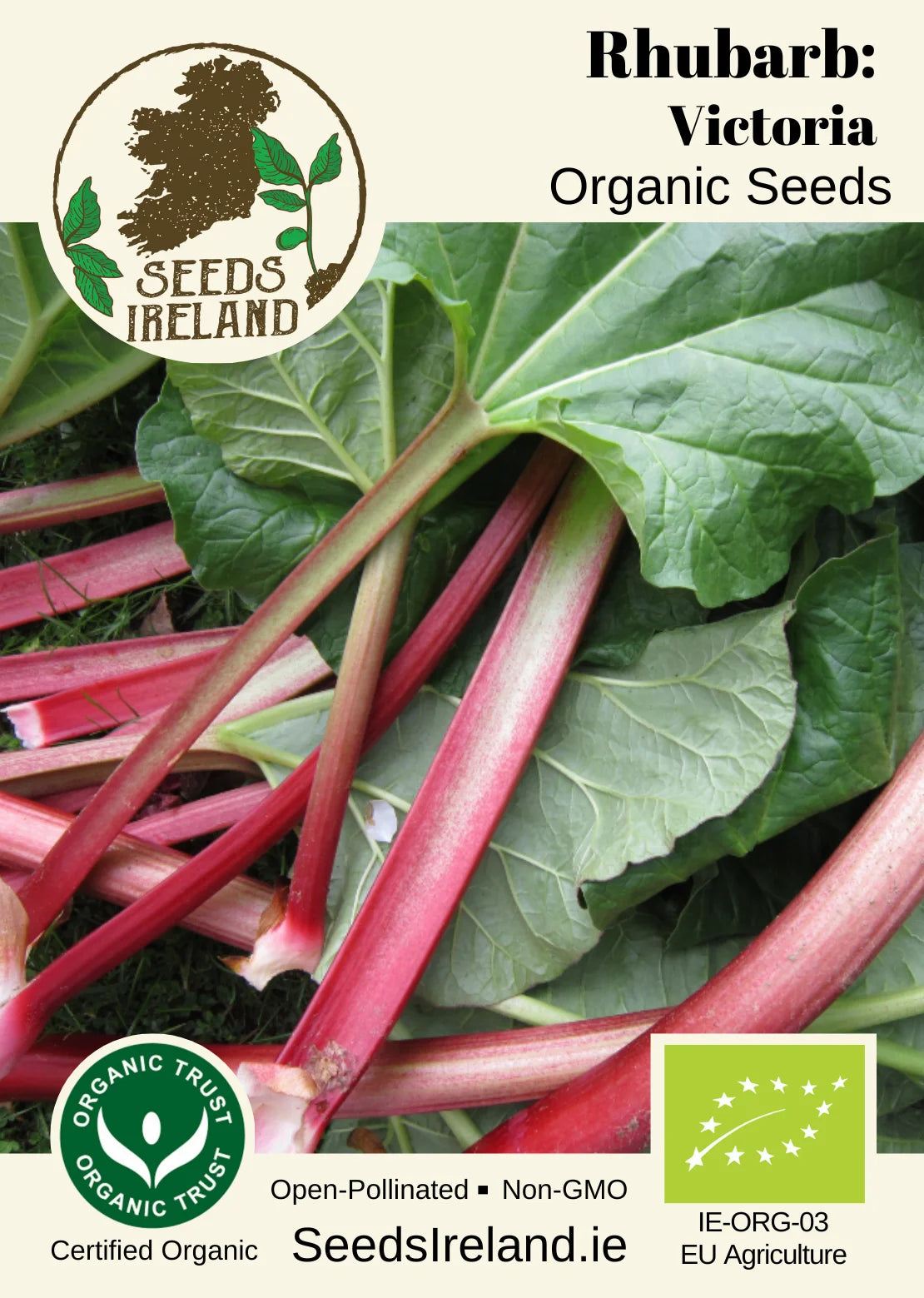 Rhubarb: Victoria Organic Seed