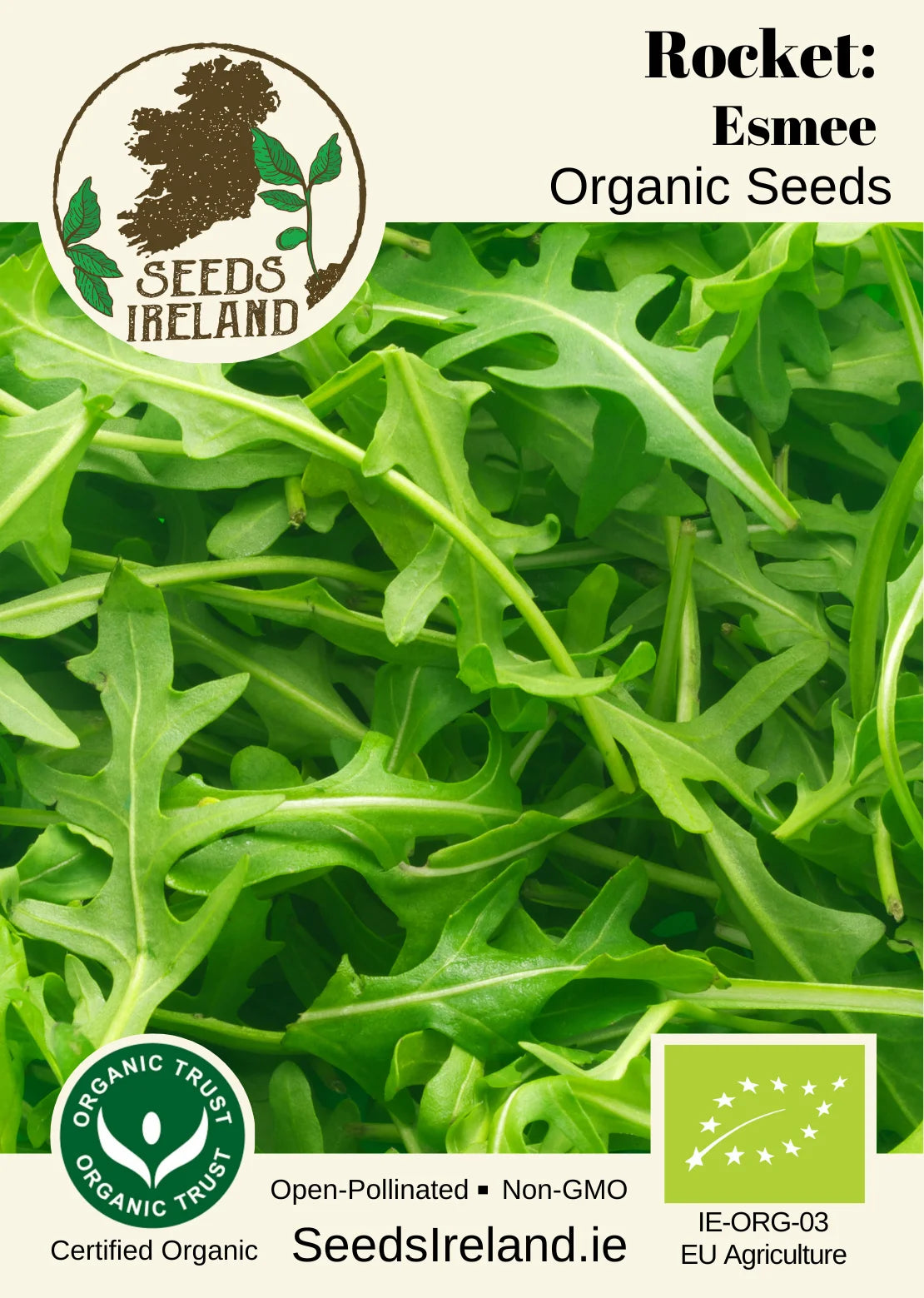 Rocket: Esmee Organic Seed