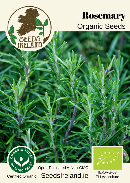 Rosemary Organic Seed