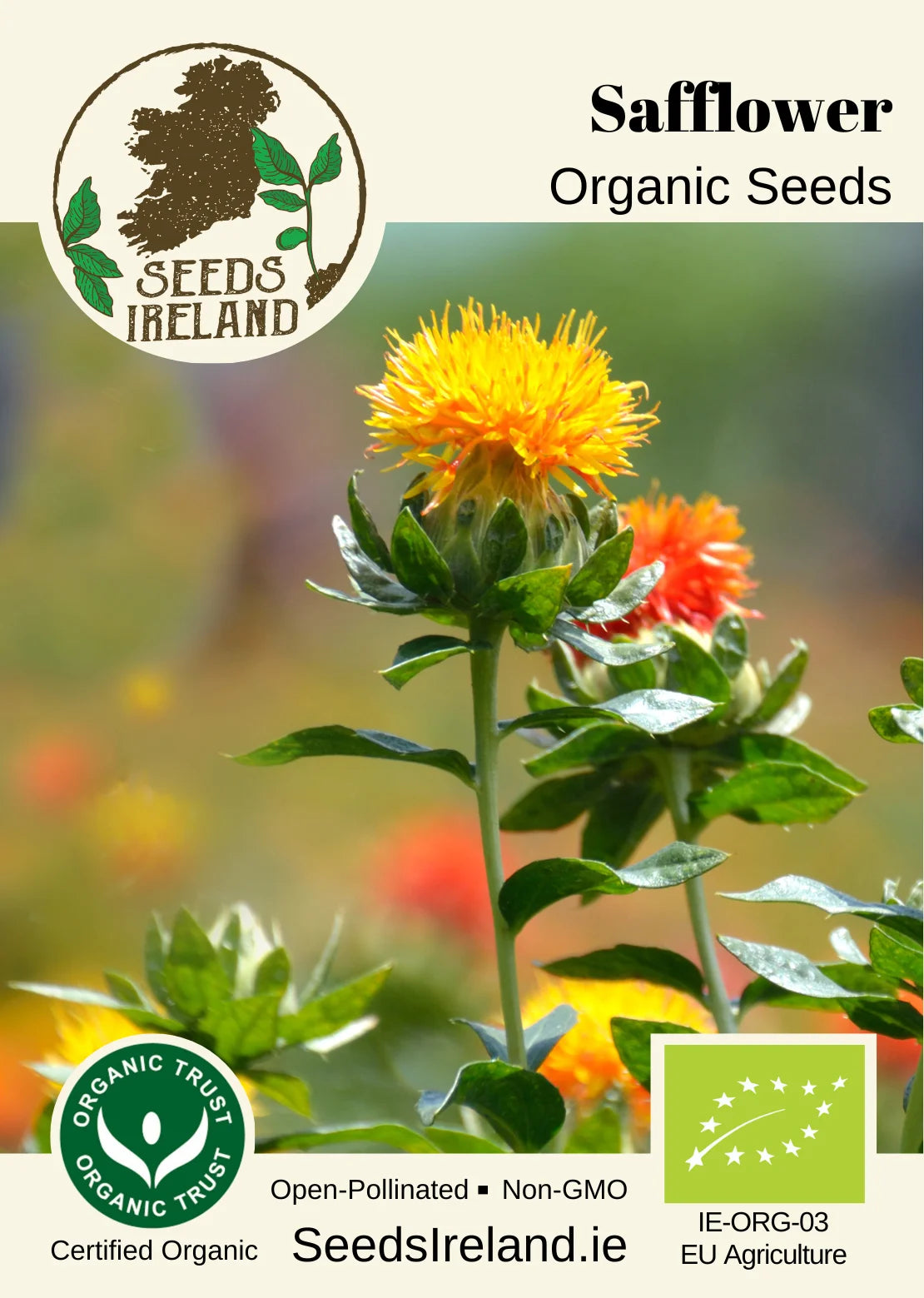 Safflower Organic Seed