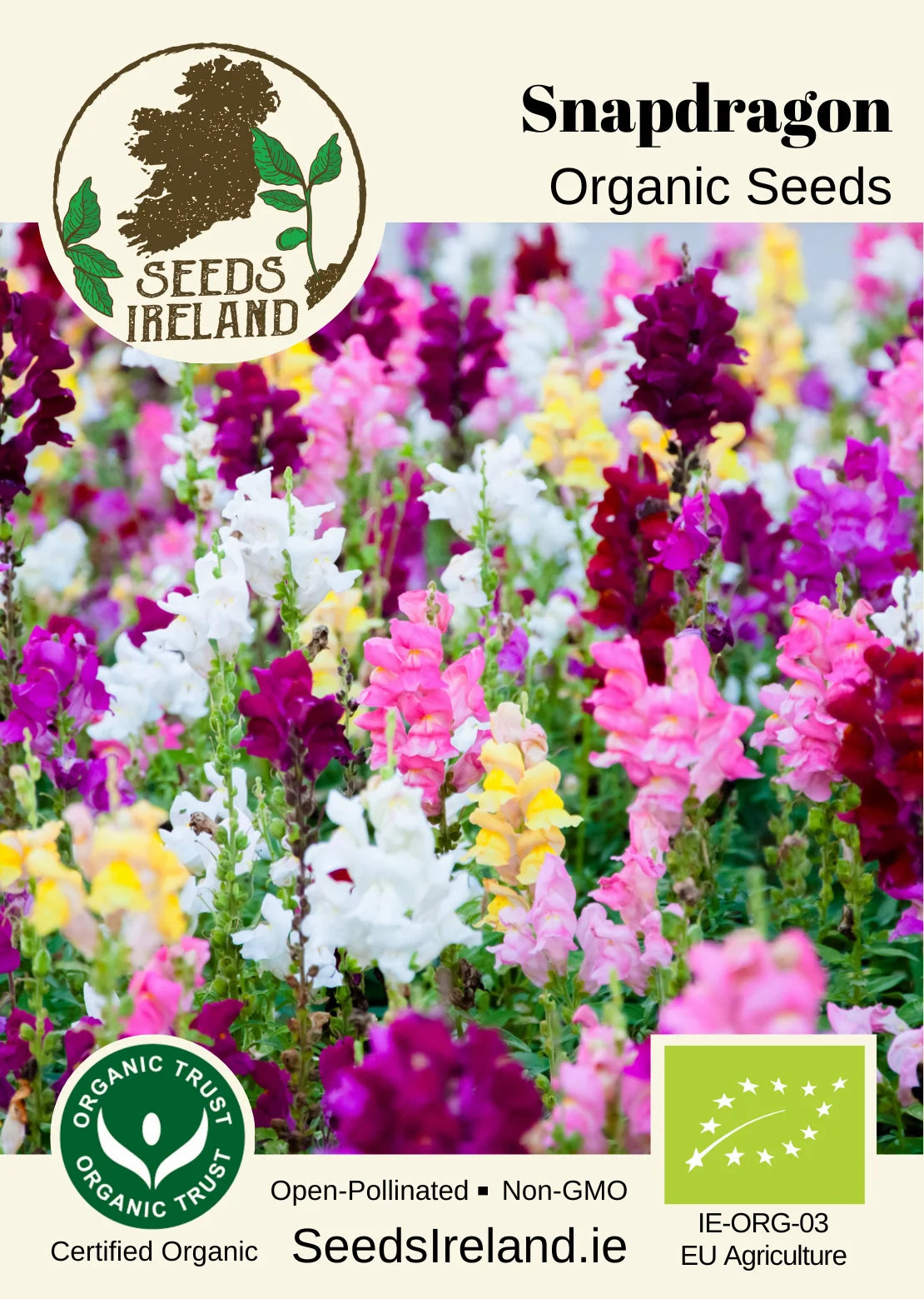 Snapdragon Organic Seed