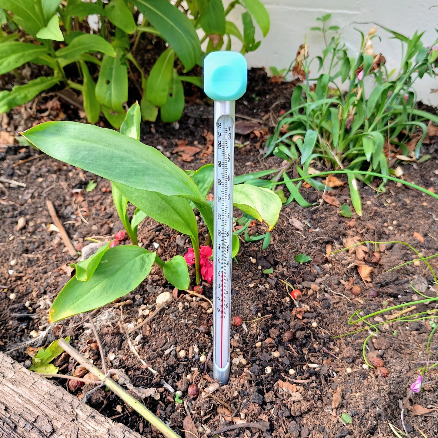 Soil Thermometer