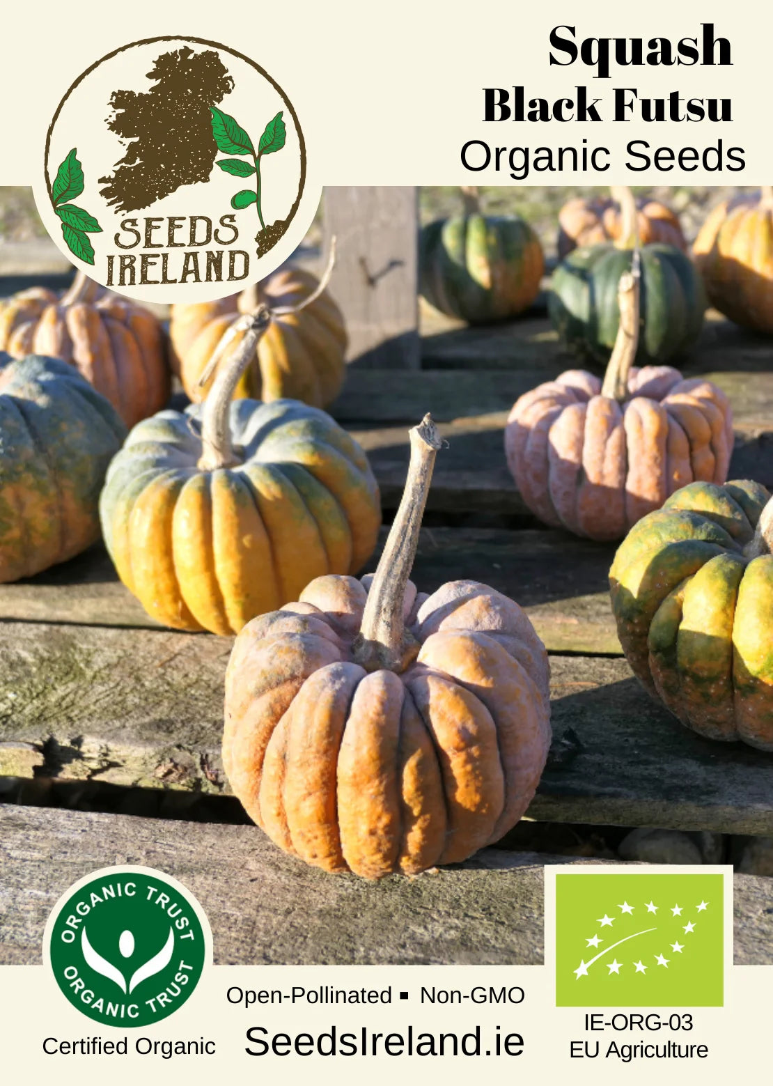Squash: Black Futsu Organic Seed
