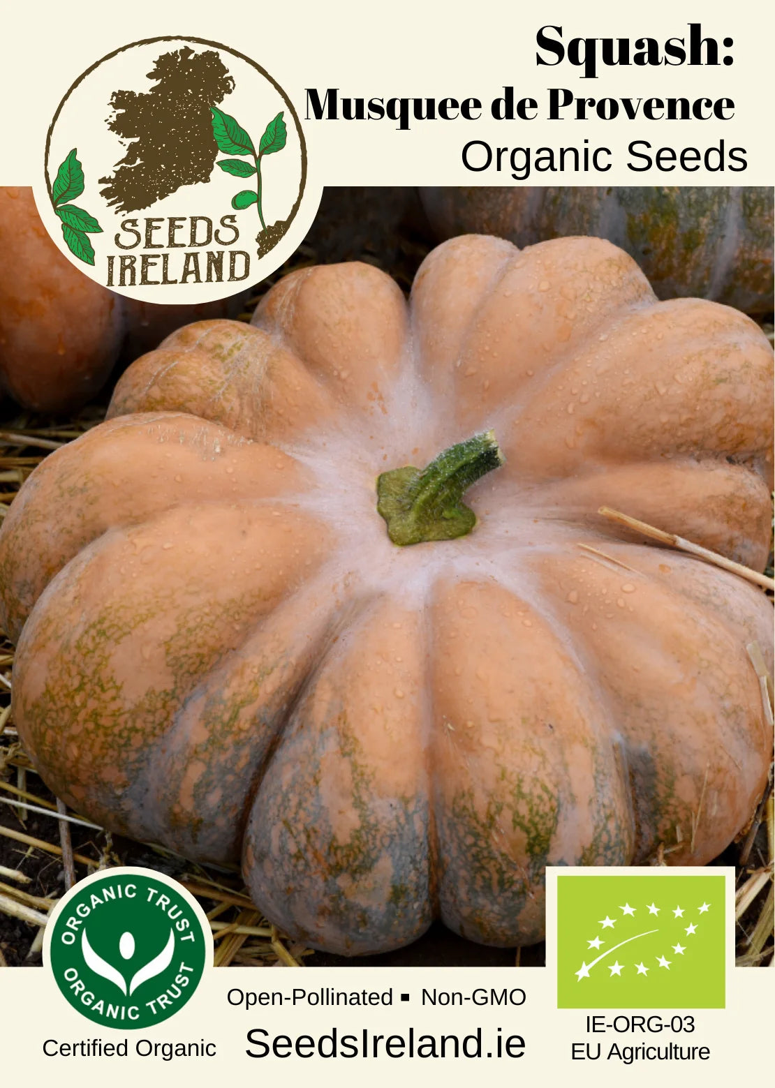 Squash: Musquee de Provence Organic Seed