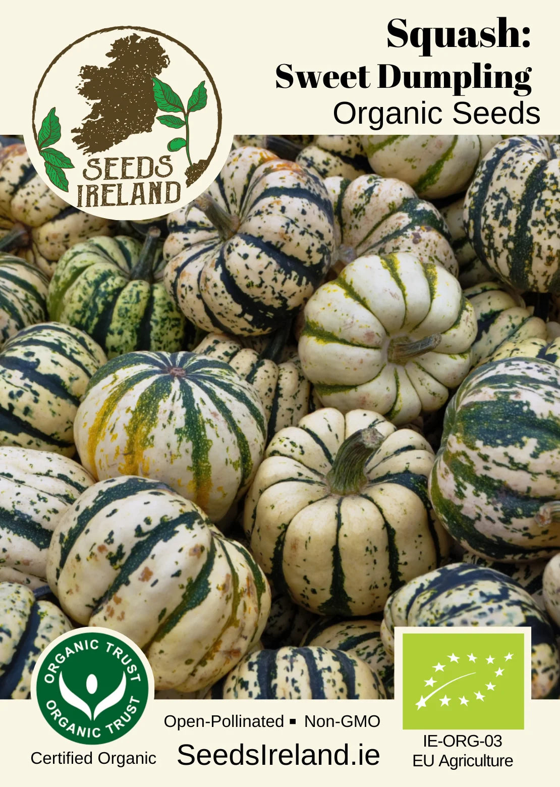 Squash: Sweet Dumpling Organic Seed