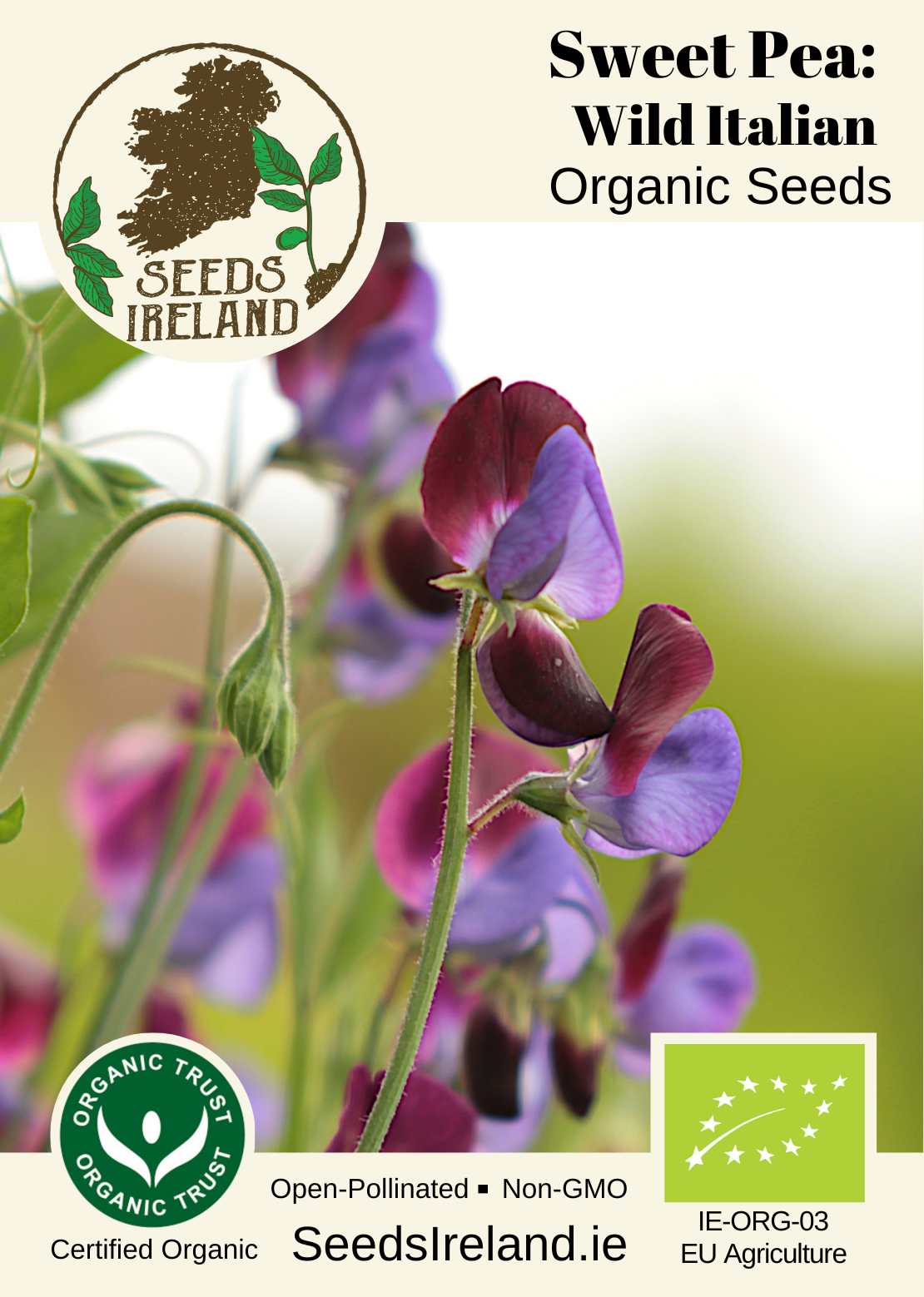 Sweet Pea: Wild Italian Organic Seed