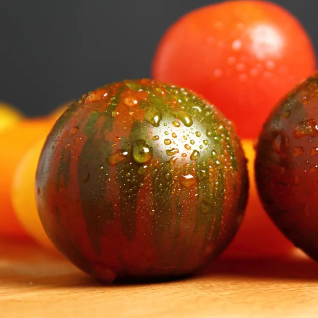 Tomato Black Zebra
