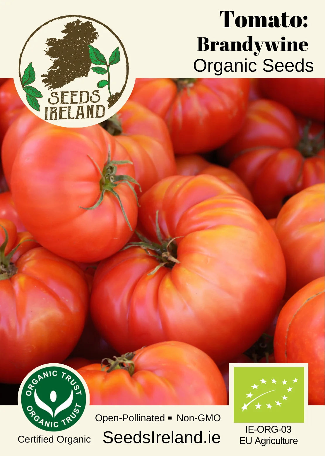 Tomato: Brandywine Organic Seed