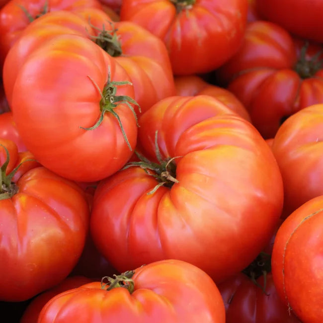 Tomato Brandy wine