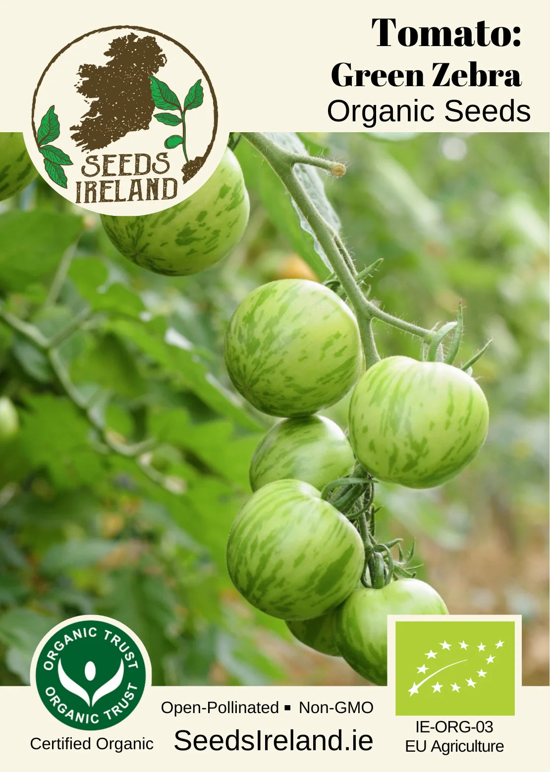 Tomato: Green Zebra Organic Seed