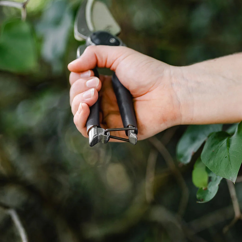 Traditional Anvil Secateurs | Kent & Stowe