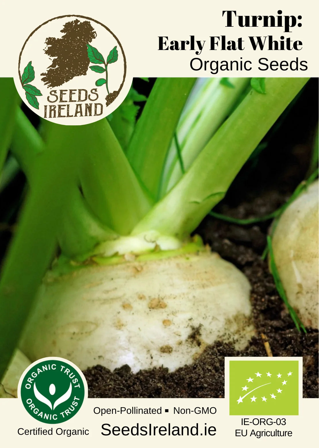 Turnip: Early Flat White Organic Seed