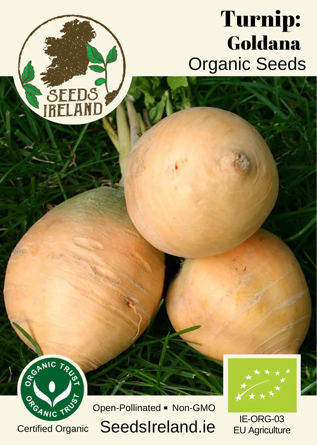 Turnip: Goldana Organic Seed
