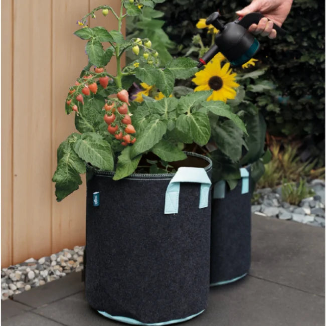 planting seeds in grow bags Vegetable Grow Bags - 3 Pack | 24 Litre