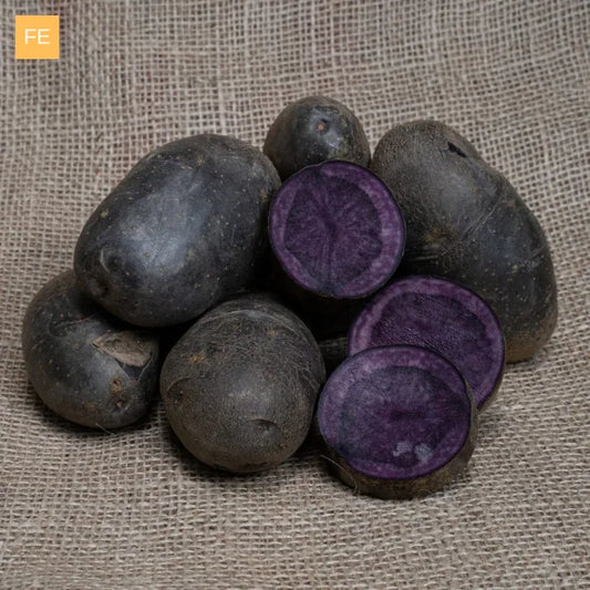 Seed Potatoes: Vitanoire