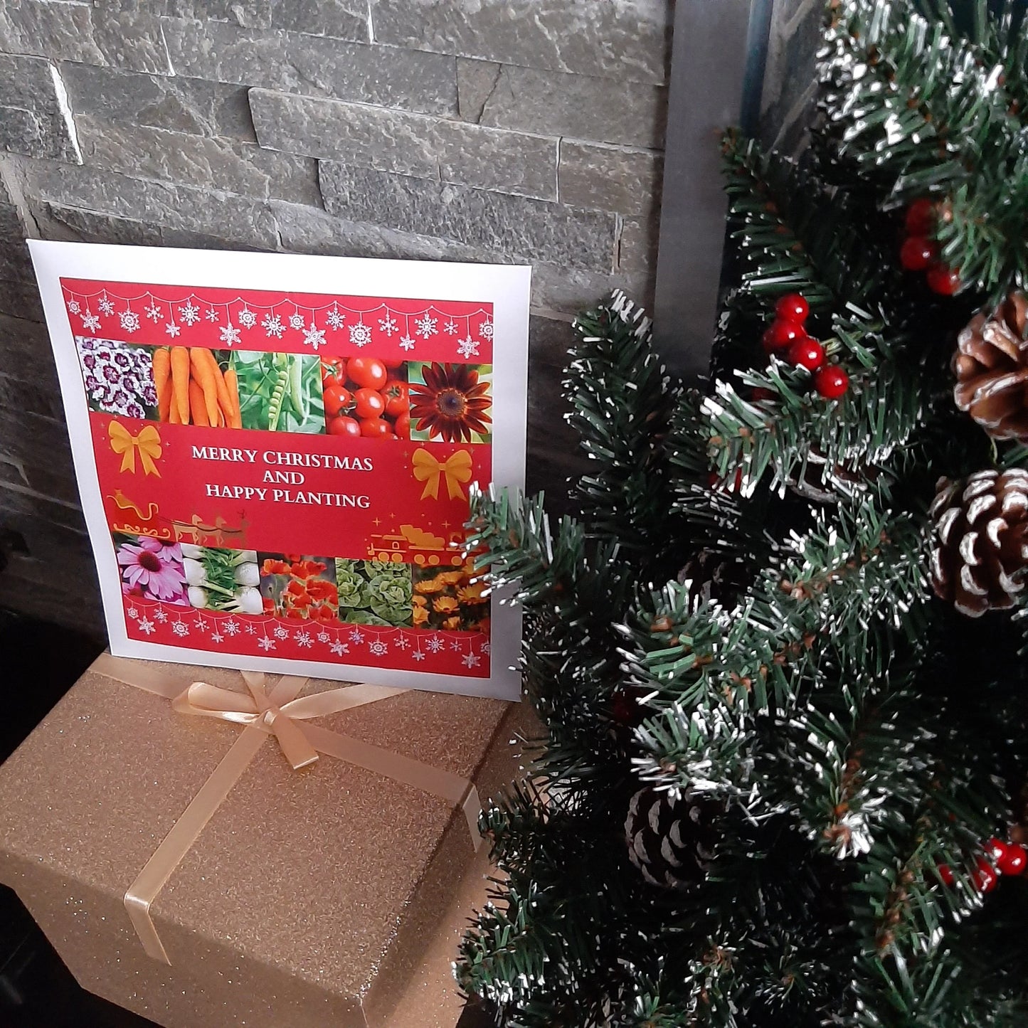 Xmas Box