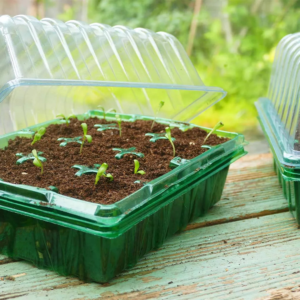 Seed Starting & Planting Trays - Greenhouse Megastore