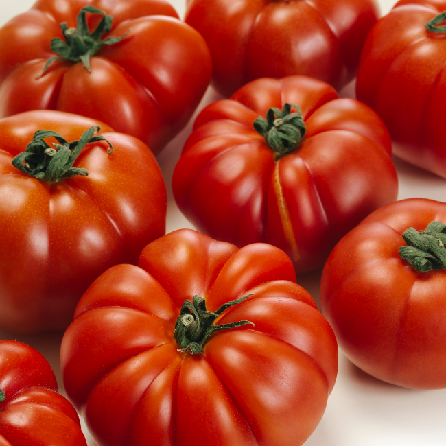 Tomato Marmande