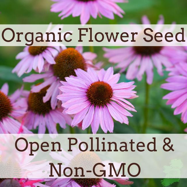 Serene Flower Seeds Ireland View Nature Serene Flower Seeds Ireland View Nature