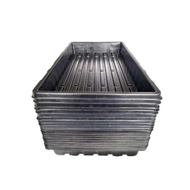 20 Large Tray With Holes