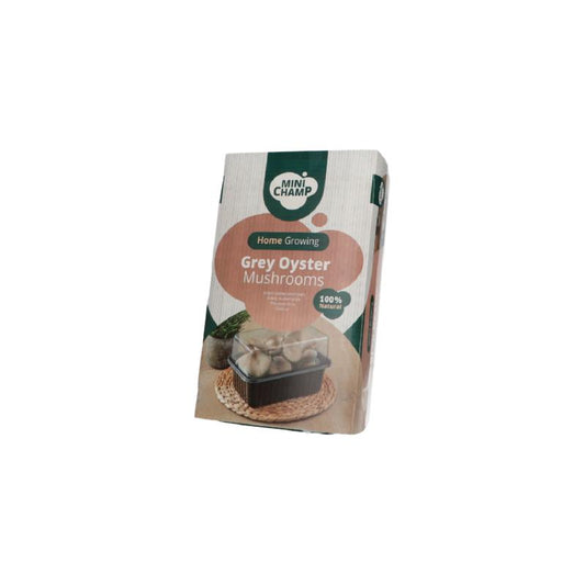 Grey Oyster Mushroom Grow Kit