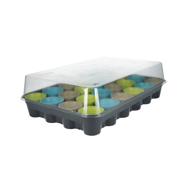 Flower Seed Advent Calendar
