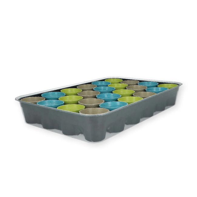 Herb & Vegetable Seed Advent Calendar
