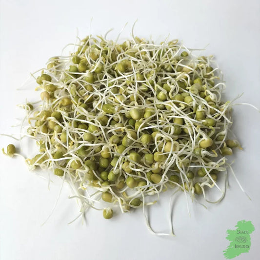 Affila Pea Sprouts