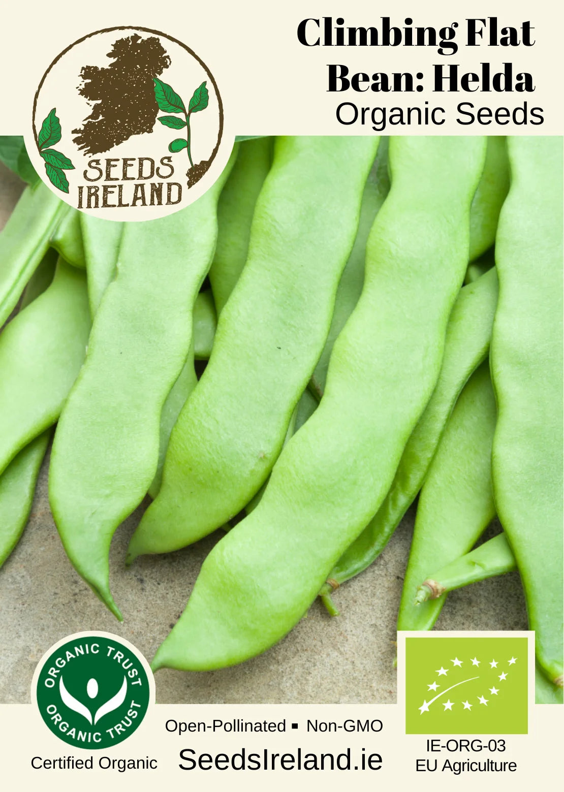 Climbing Flat Bean: Helda Organic Seed