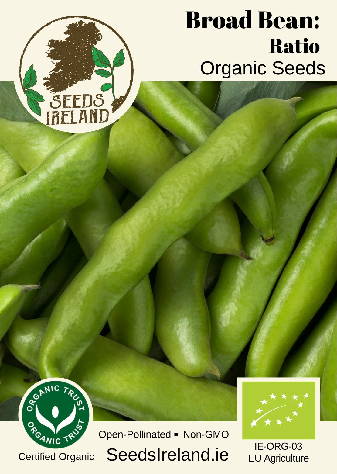 Broad Bean: Ratio Organic Seed