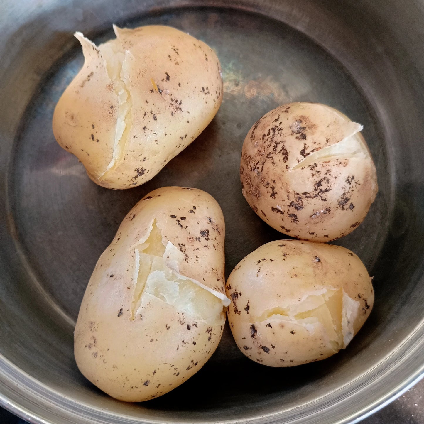 Seed Potatoes: British Queens