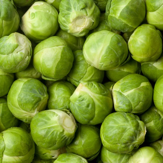 Brussels Sprouts Square
