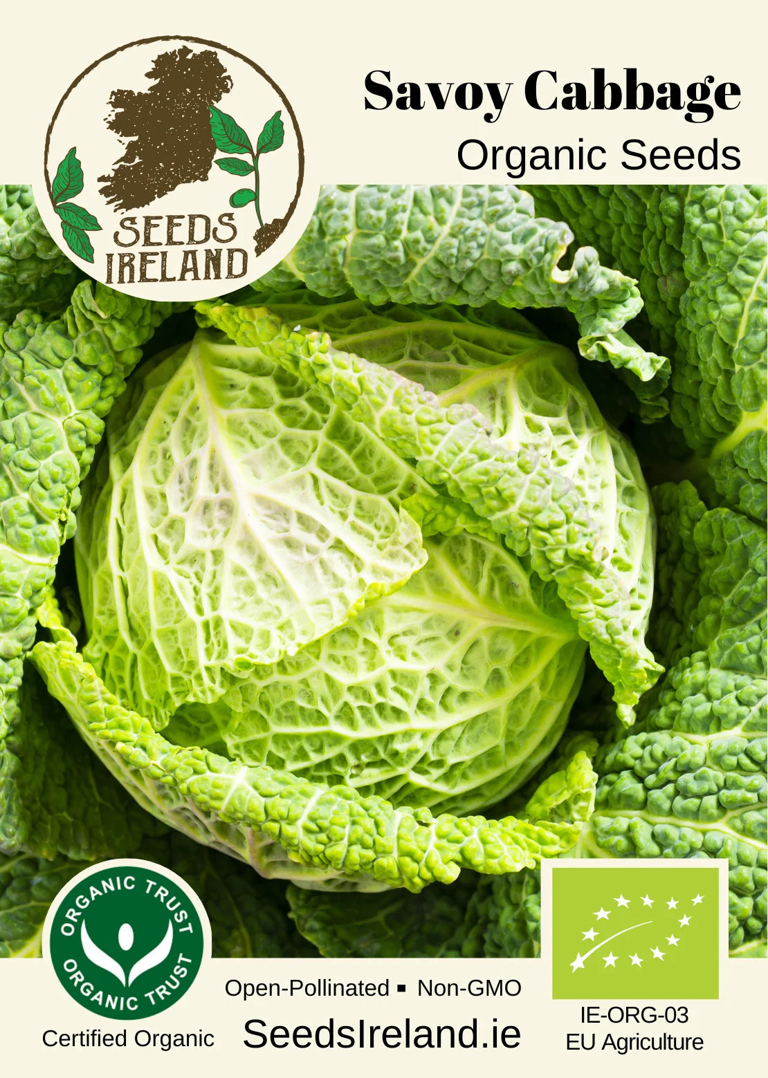 Savoy Cabbage Organic Seed