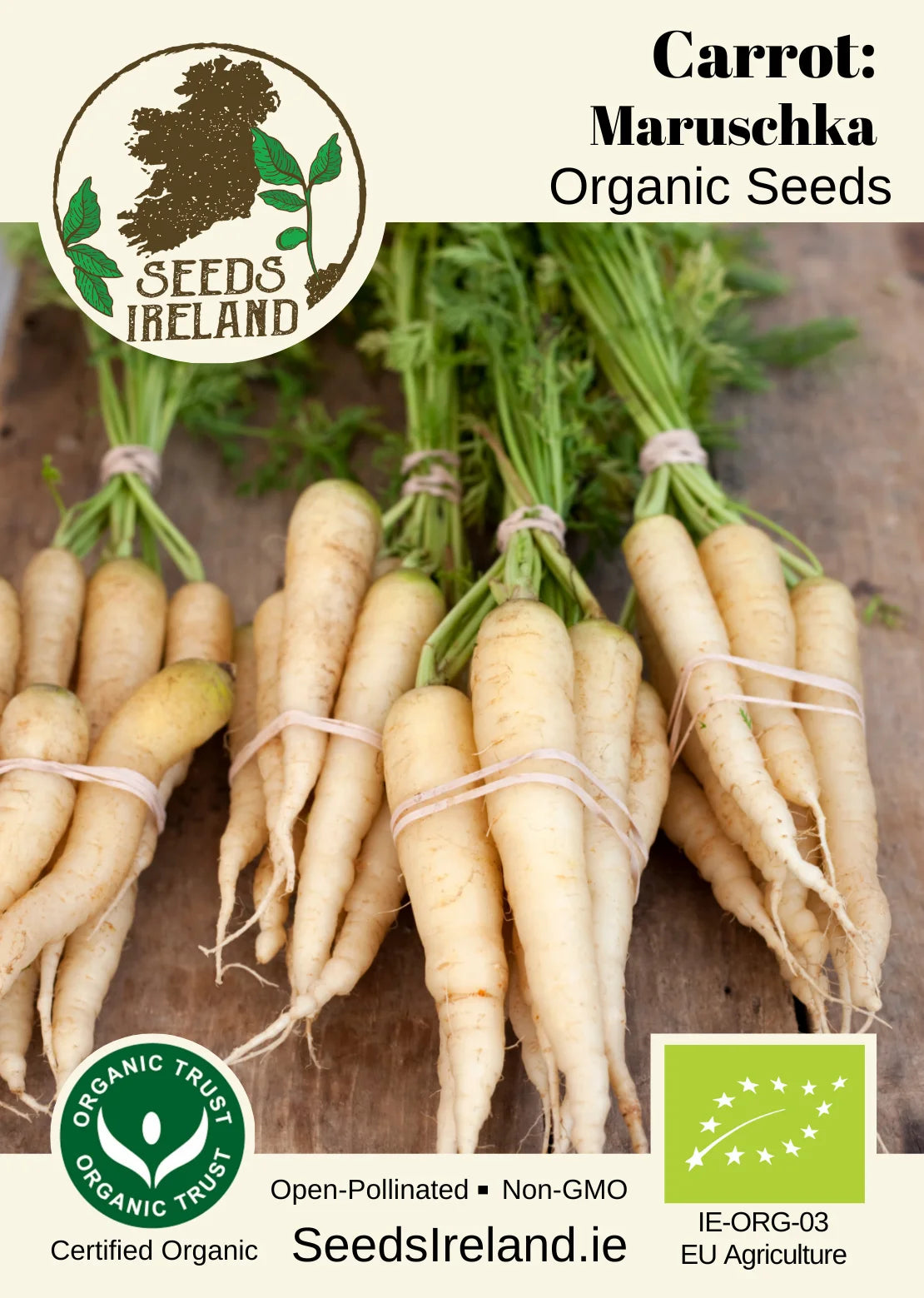 Carrot: Maruschka Organic Seed