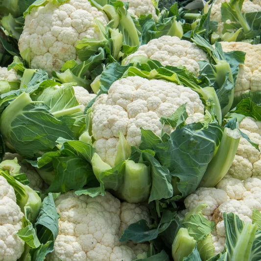 Cauliflower-FloraBlanca