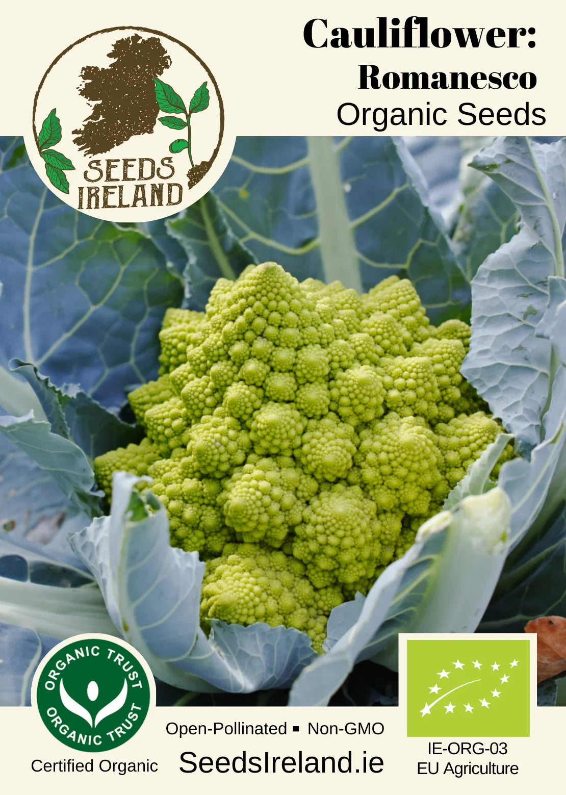Cauliflower: Romanesco Organic Seed